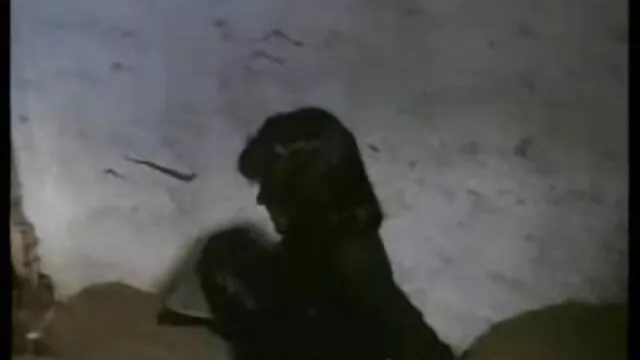 Alegres jóvenes lesbianas lamen el madres mexicanas cojiendo con sus hijos coño