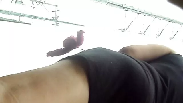 Haruto informal le dio una mamada a su amiga videos de mamas maduras