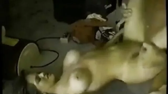Acariciando el coño de su amiga madre dormida follada por su hijo mientras sus padres no están en casa